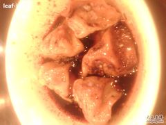 酸辣水饺-蓉李记成都名小吃(合肥包河万达店)