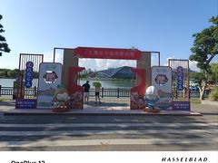 -上海长兴岛郊野公园