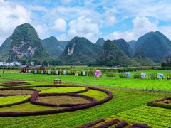 -靖西鹅泉风景区