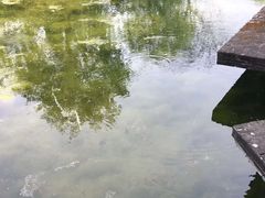 -韩湘水博园