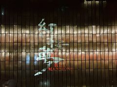 -合肥大剧院