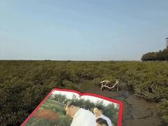 -北海金海湾红树林生态旅游区