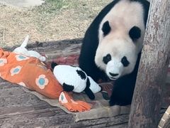 -大连森林动物园