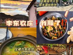 -李东农庄(中南百草园地标店)