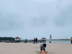 -东郊椰林