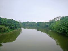 -海珠湖公园