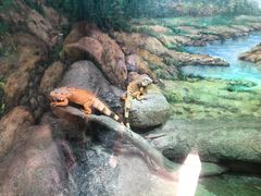 -福州罗源湾海洋世界旅游区