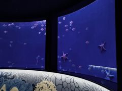 -沈阳海洋探索中心