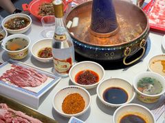 -董记老清泉·鲜切涮羊肉(窑岭店)