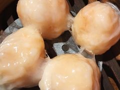 -颐和•海鲜砂锅粥•啫啫煲(奥林匹克广场店)