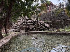 -罗浮山嘉宝田森林温泉度假酒店