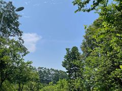 -火炉山森林公园