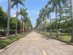 -厦门大学(思明校区)