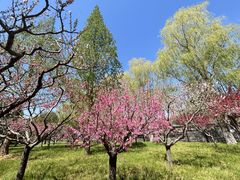 -莲花池公园