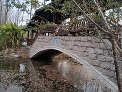 -合肥滨湖国家森林公园