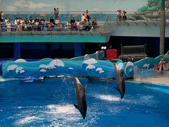 -海合安成都极地海洋公园