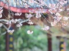 -堤角公园