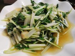 炒水白菜-途中饭店(开化店)