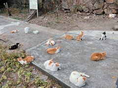 -惠山国家森林公园