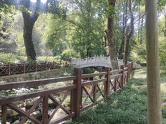 -素山寺森林公园