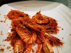 避风塘大虾-骏莱海鲜鱼港(五角场店)