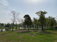 -上海滨江森林公园