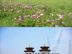 -坝上草原大汗行宫旅游景区