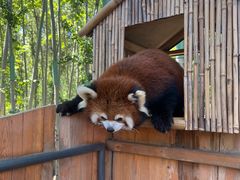 -北京野生动物园