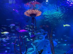 -沈阳海洋探索中心