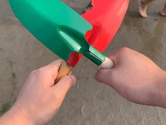 -碧海金沙