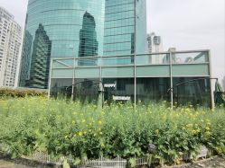 点击看大图 -头号顽家·萌宠生日派对·轻奢策划(前滩店)