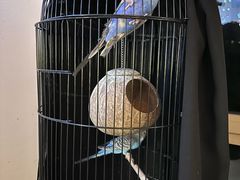 -浙江安吉JW万豪酒店