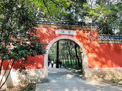-灵谷景区