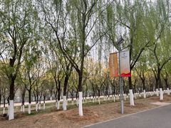 -永定河休闲森林公园