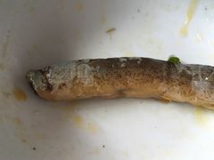 -盘龙黄鳝(盘龙居店)