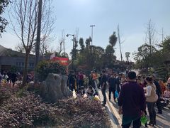 -枫香湖儿童公园