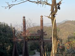 -杭州半山国家森林公园