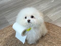 -爱侣宠医·鹦鹉专科·小型哺乳类·异宠专科(灵石路店)