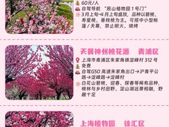 -上海山野camping·户外天幕烧烤·团建拓展营地
