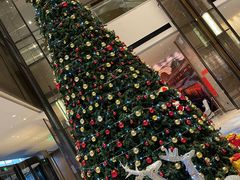 -苏州希尔顿酒店·园大堂吧