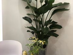 -茶百道(春晖路店)