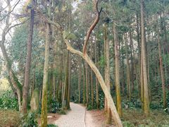 -狼山风景名胜区