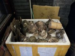 海鲜-吉友粥底火锅(方斜路店)