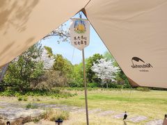 -顾村公园