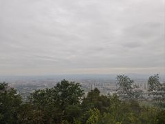 -神光山国家森林公园