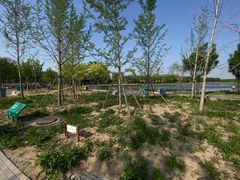 -东郊湿地公园