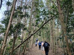 -达蓬山旅游度假区