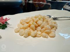 -新雅粤菜馆(南京东路店)