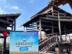 -西溪国家湿地公园