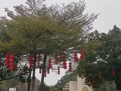 -三水森林公园
